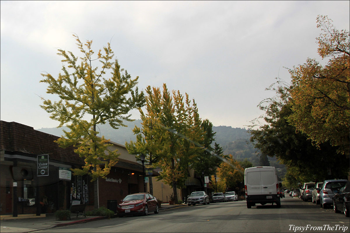 Fall color in Saratoga Village, CA