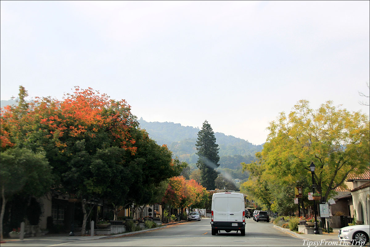 Saratoga in the Fall 