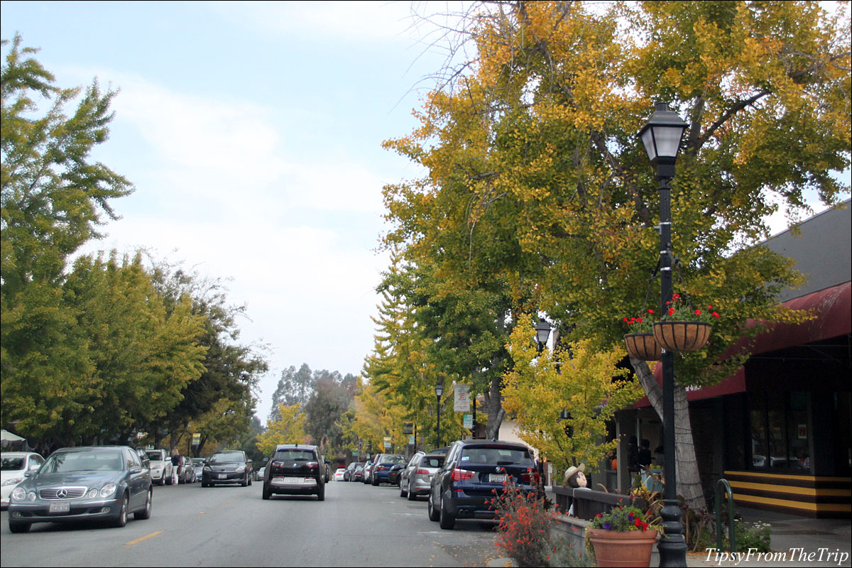 Saratoga Village in all its fall colors