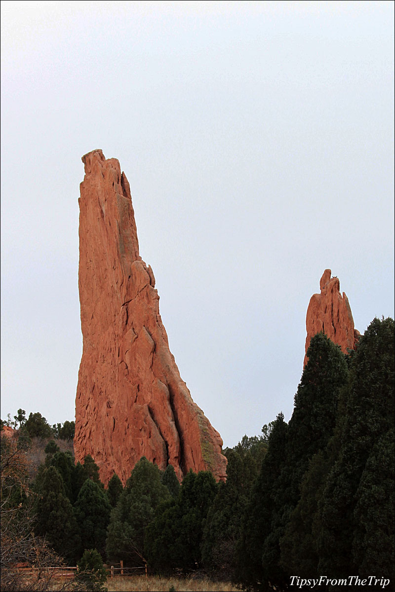 Garden of the Gods: a garden of red rock formations |Tipsy from the TRIP