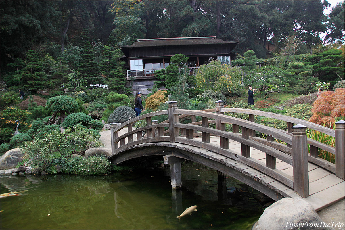 Hakone Gardens, Saratoga - California