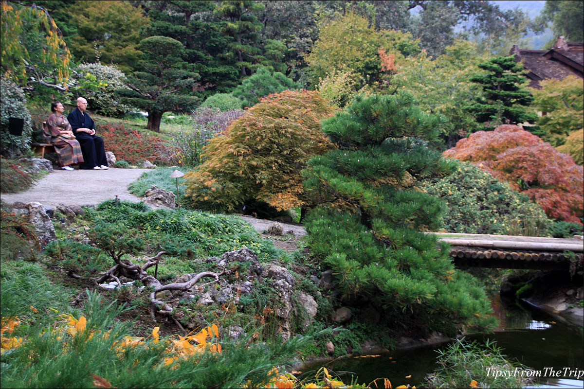 Hakone Gardens in the fall
