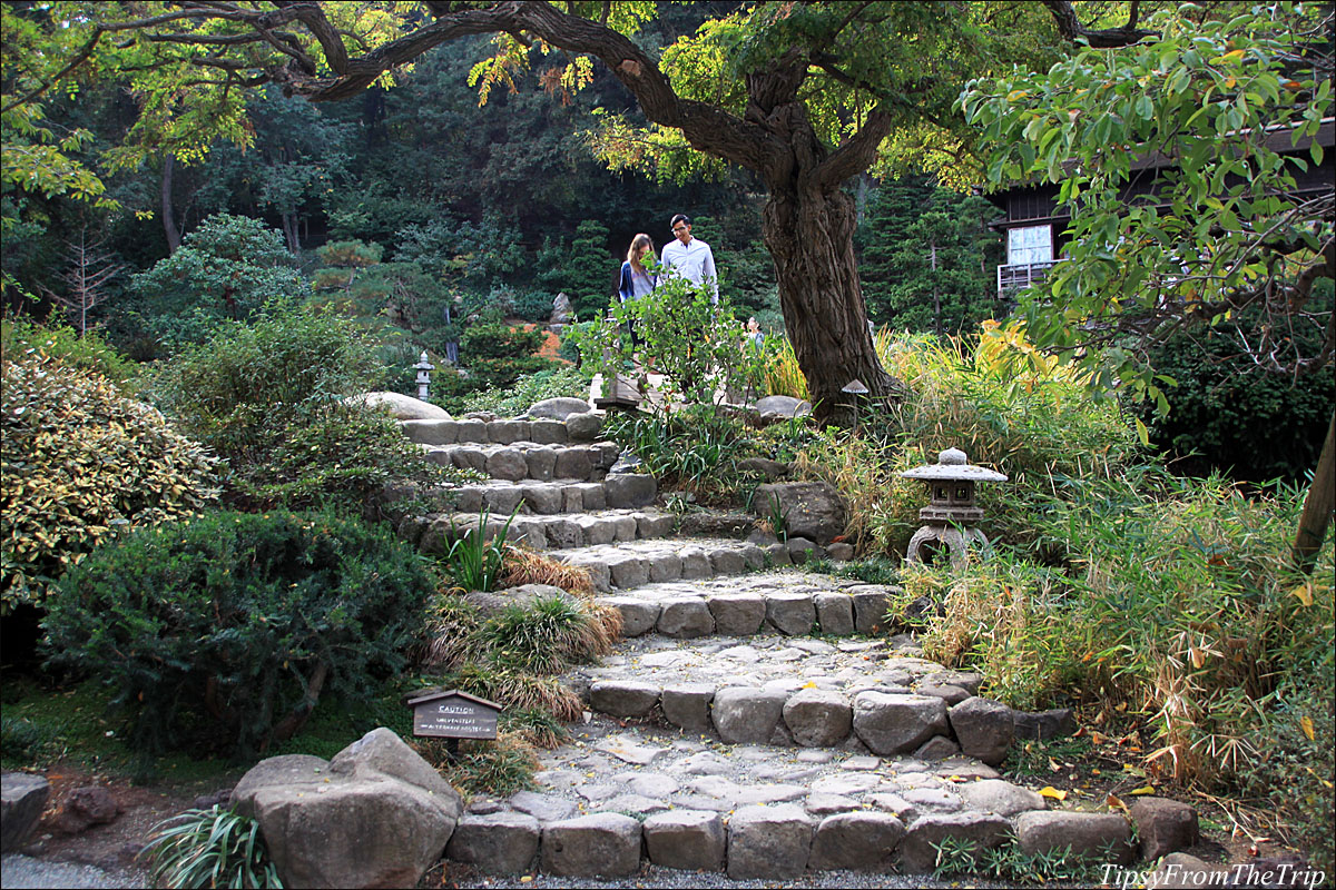Hakone Gardens, Saratoga - California