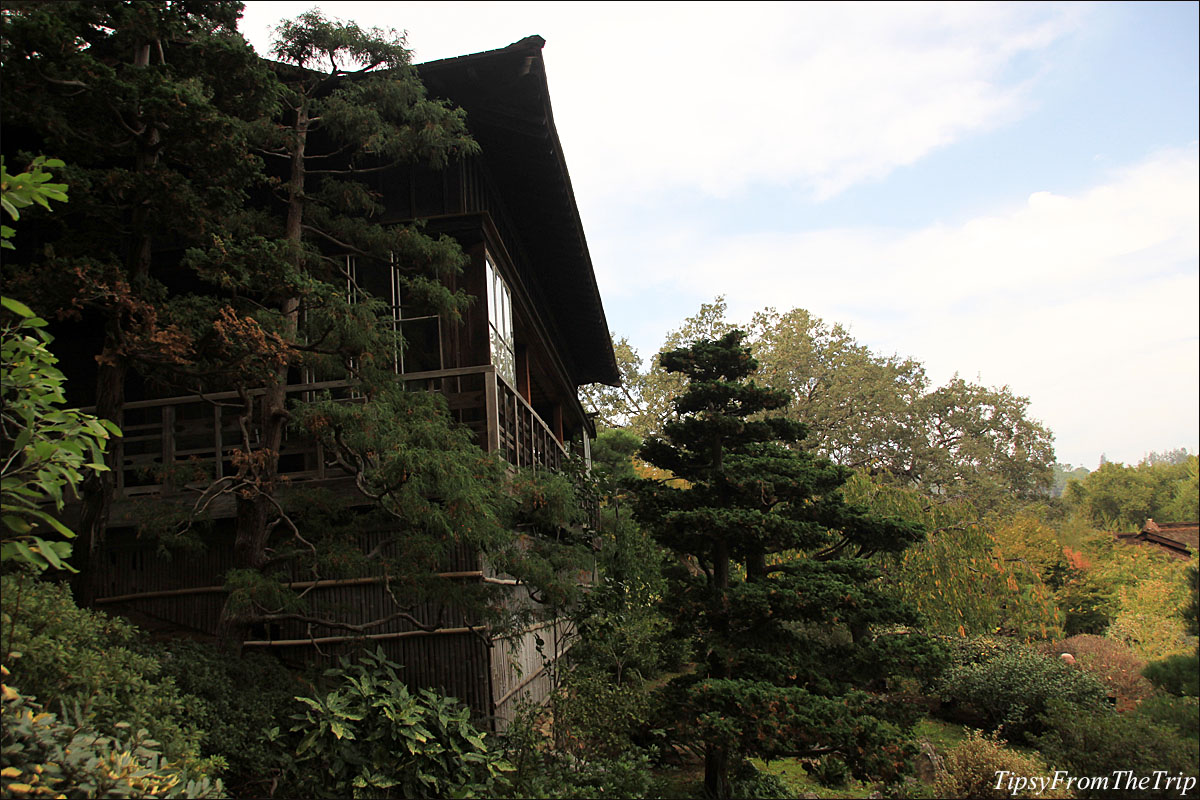 Fall color at Hakone Gardens in Saratoga, CA