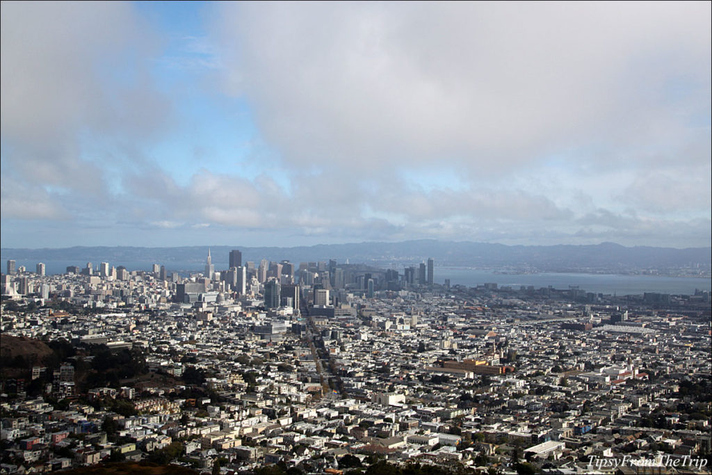 Along With A Bird’s Eye View Of Most Of San Francisco, Christmas Tree 