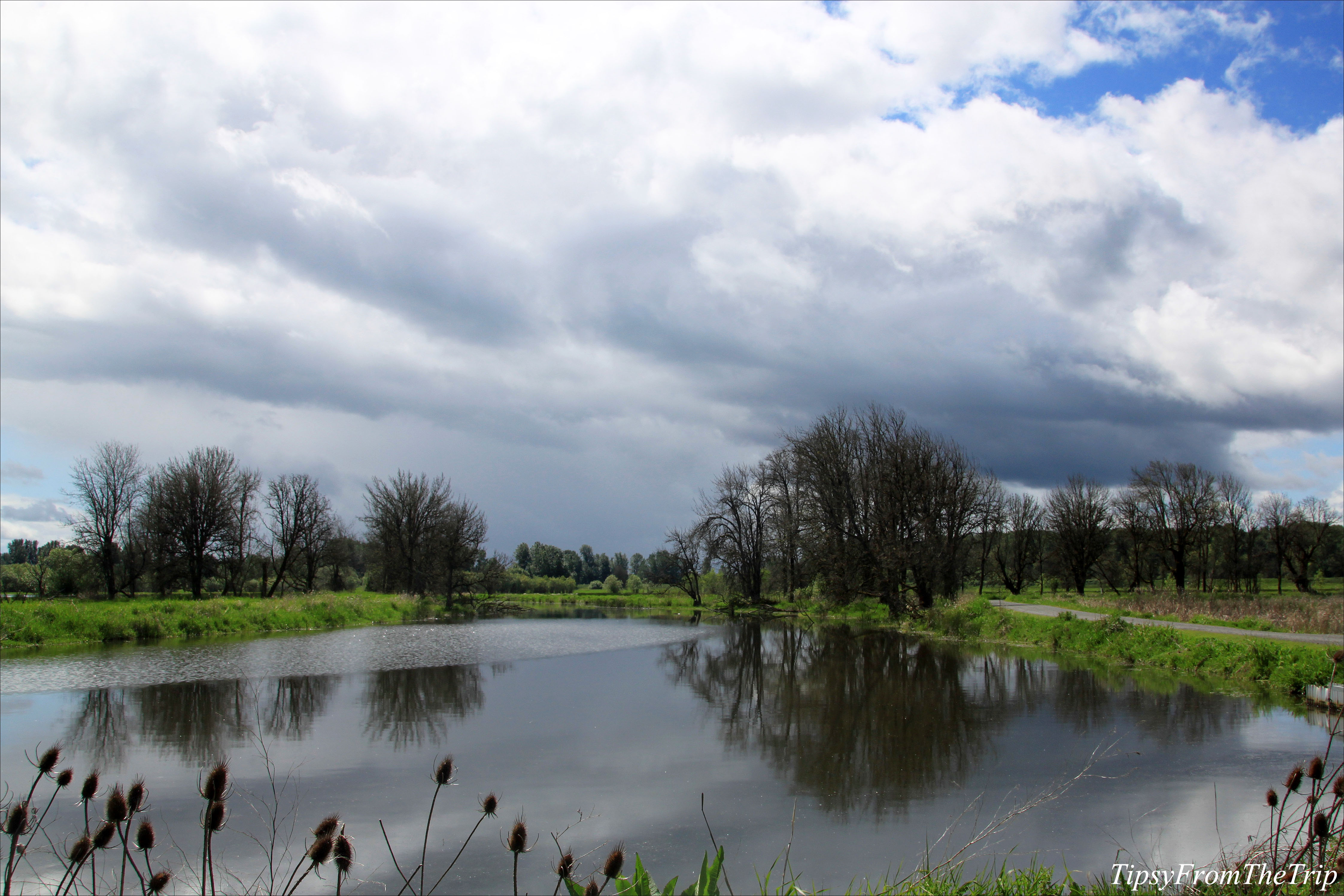 Ridgefield National Wildlife Refuge, WA