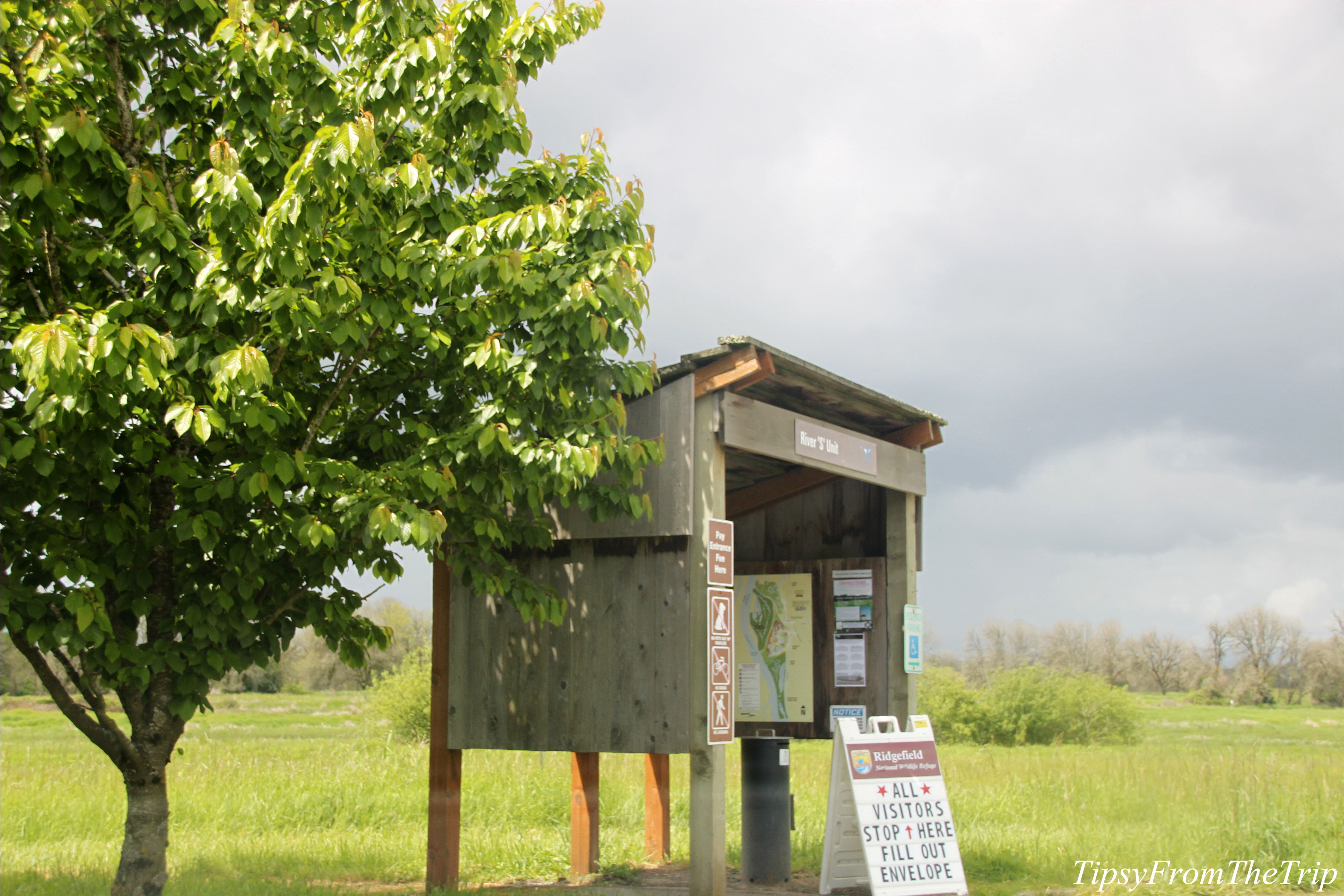 The kiosk, Ridgefield Wildlife Refuge, WA