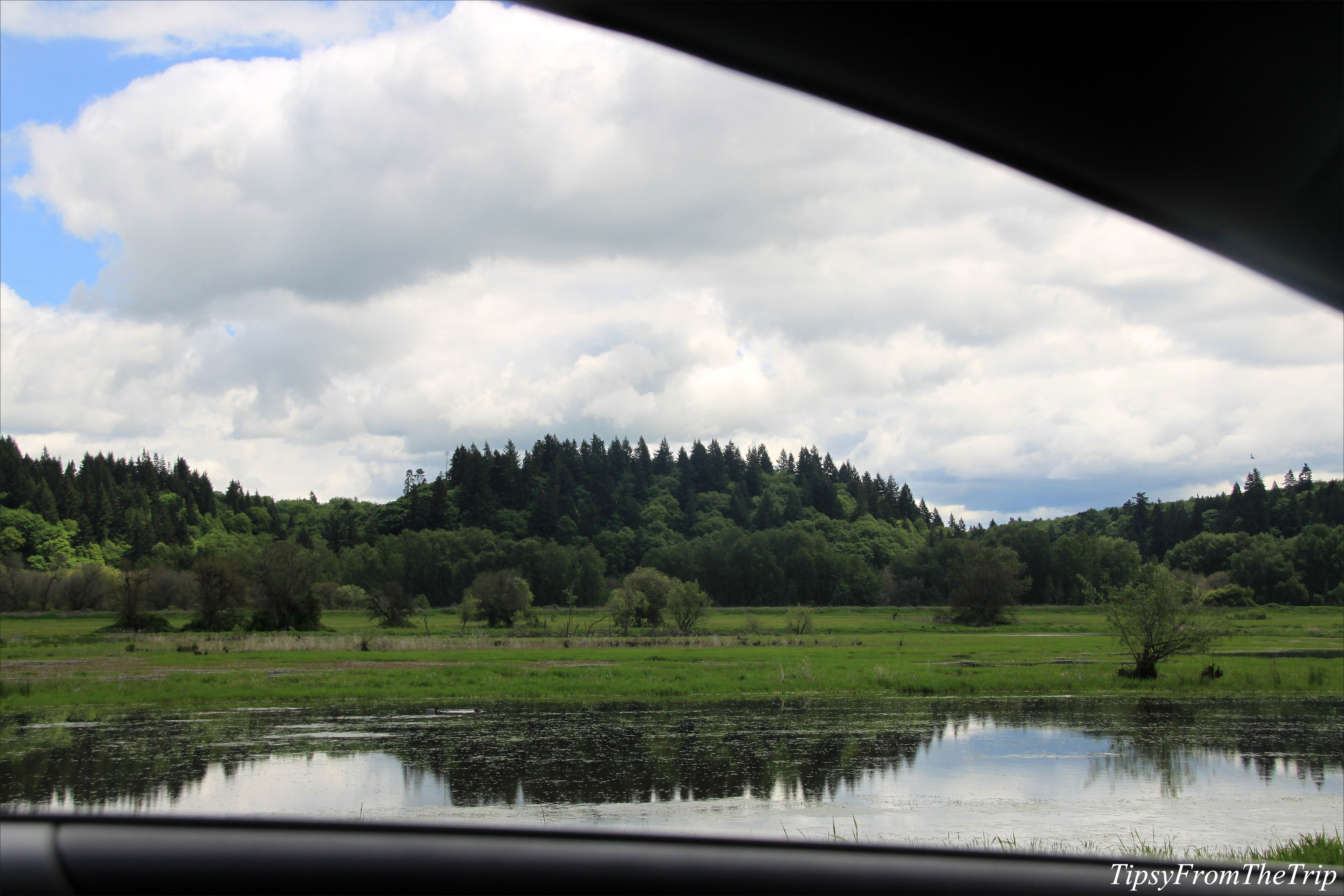 Auto tour, Ridgefield National Wildlife Refuge, WA