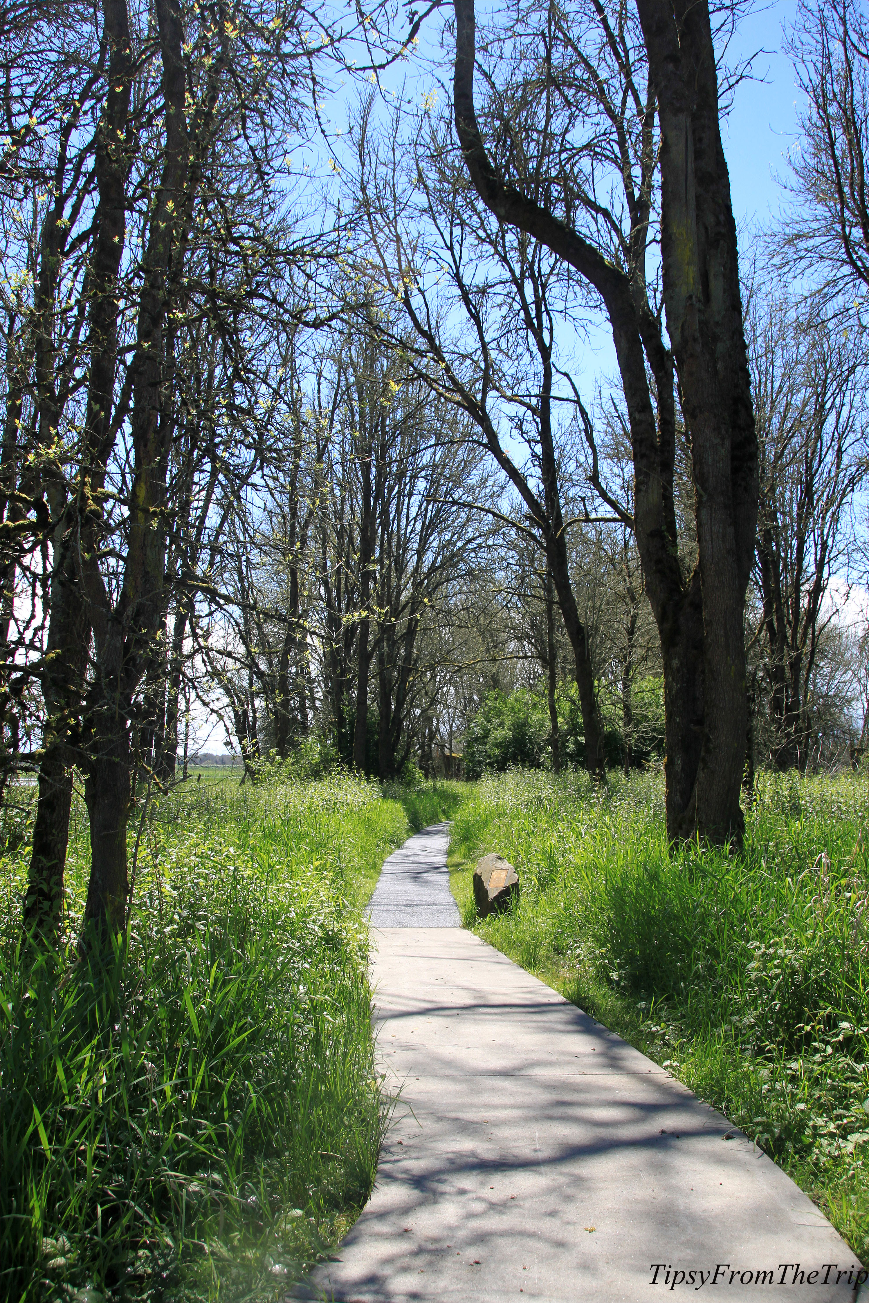 Ridgefield National Wildlife Refuge, WA