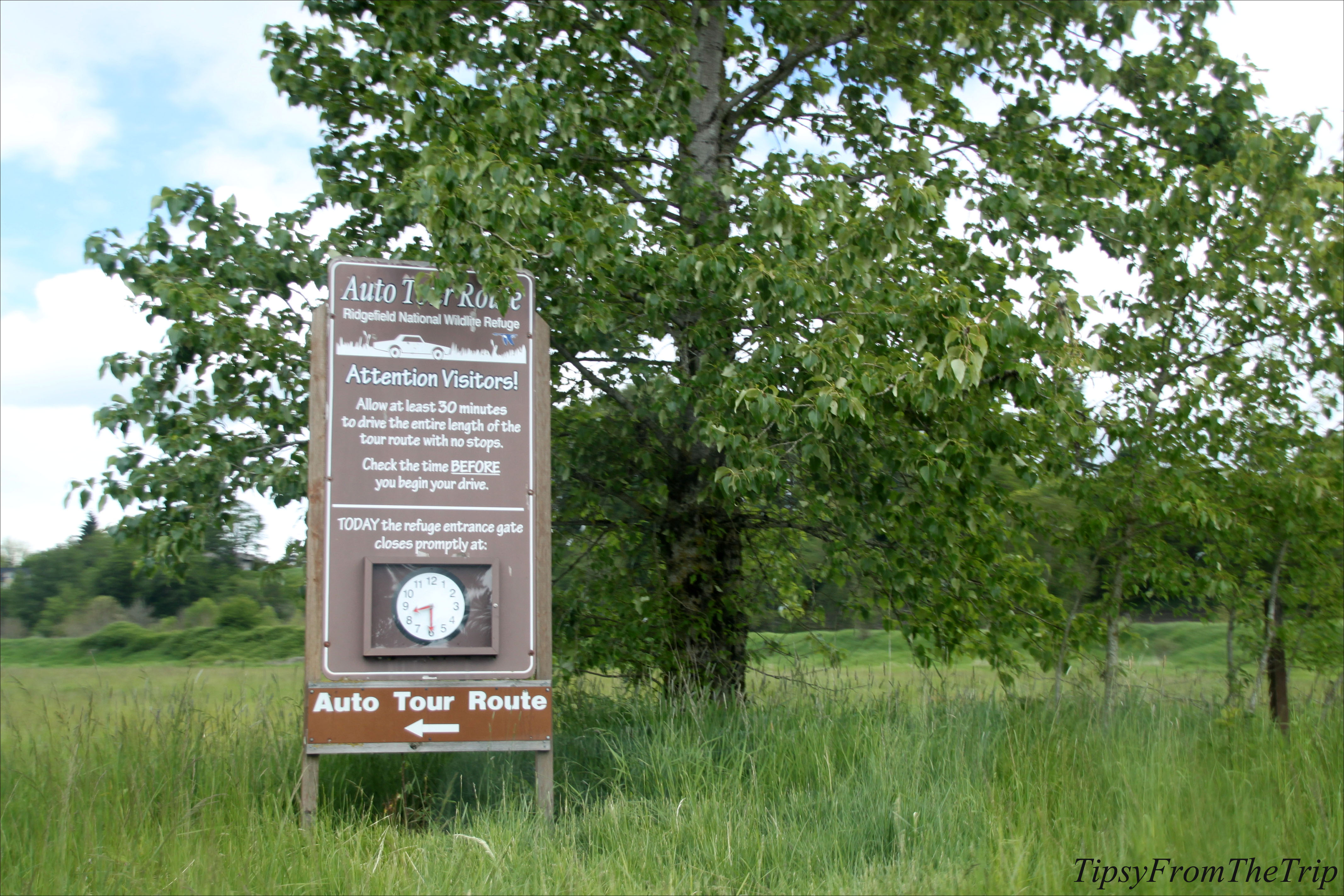 Ridgefield National Wildlife Refuge, WA