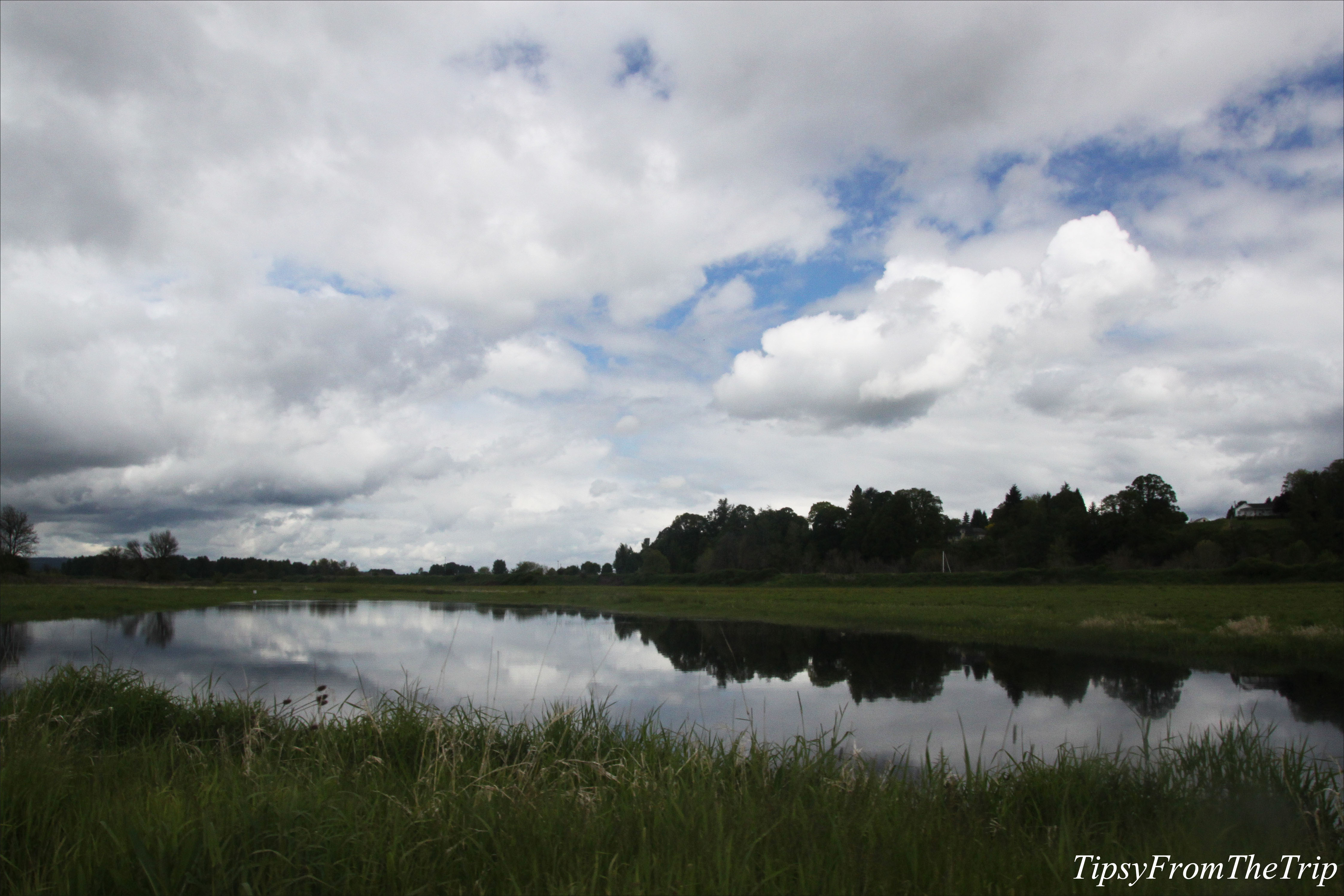 Auto tour of Ridgefield Wildlife Refuge | Tipsy from the TRIP
