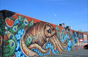 Reno's Midtown Murals