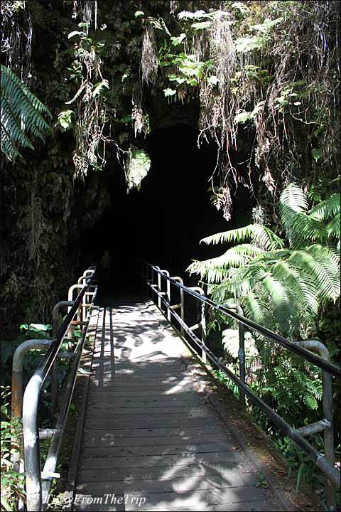 Entrance, Thurston Lava Tube, HI