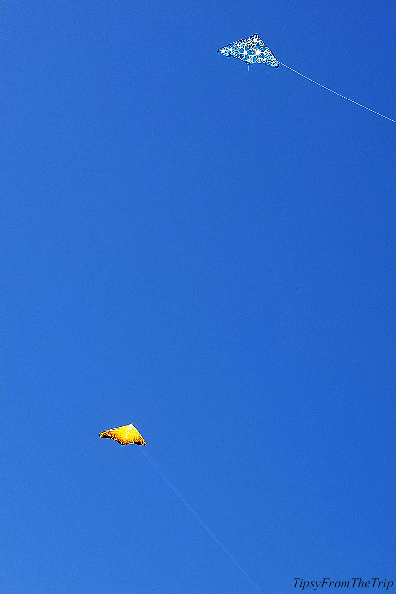 Kites at the Mountain House Kite Festival - 2018
