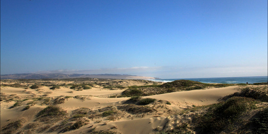 Guadalupe-Nipomo Dunes, California.