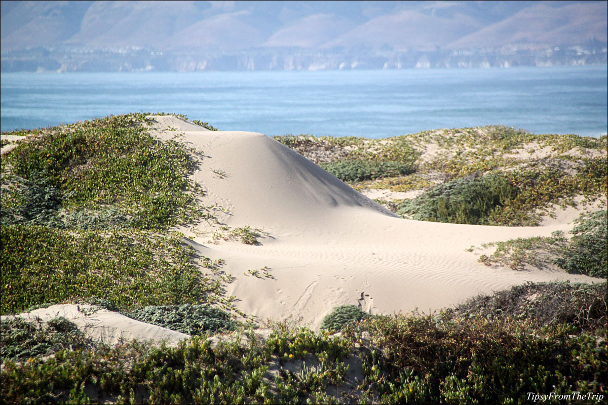 Guadalupe-Nipomo sand dunes and the Pacific Ocean. 