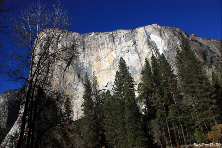 Rock Fall, El Capitan, Yosemite.