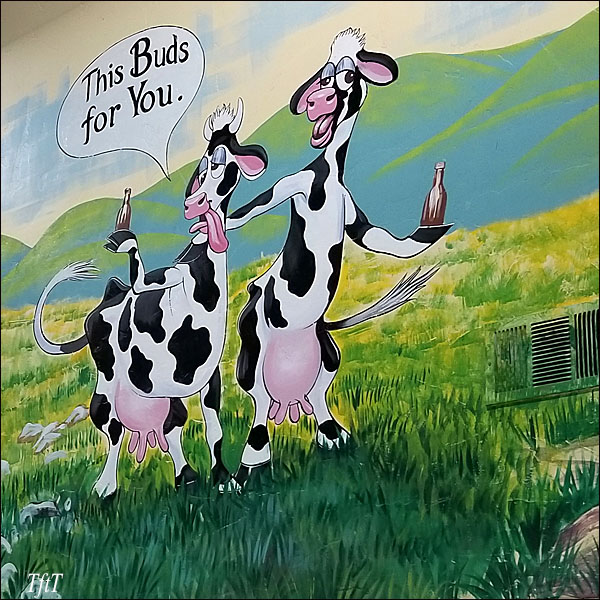 California's Happy Cows?