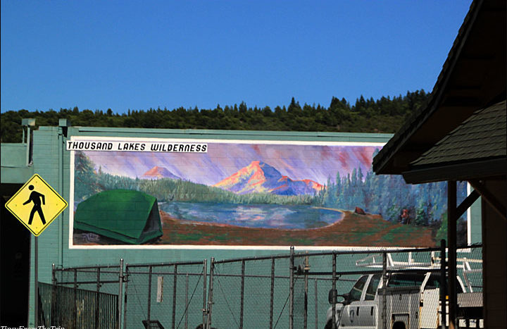 Thousand Lakes Wilderness mural