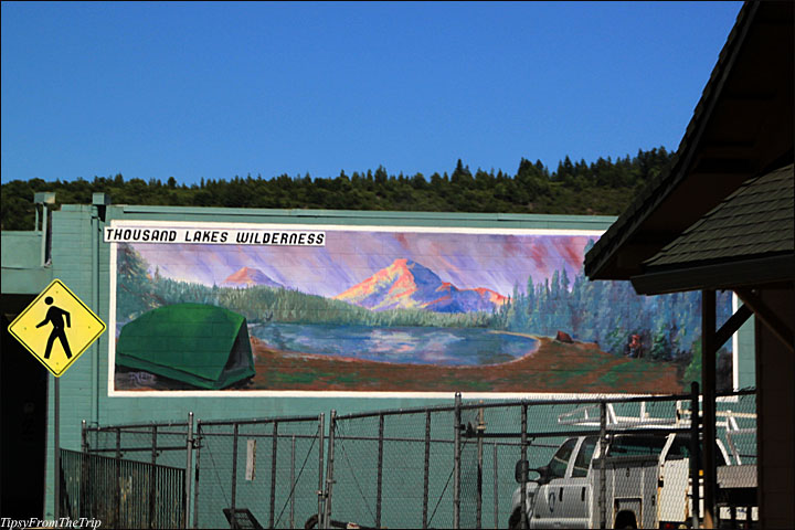 Thousand Lakes Wilderness mural 