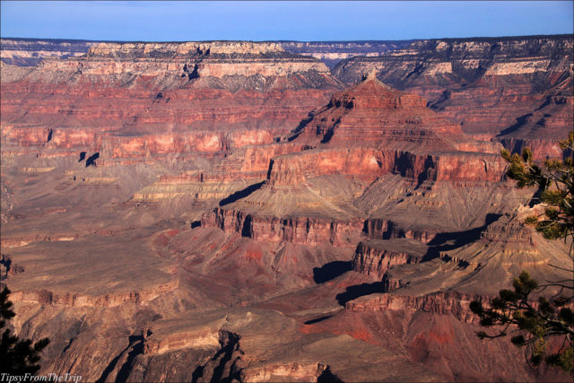 How grand is Grand Canyon? See it now, see it here! | Tipsy from the TRIP