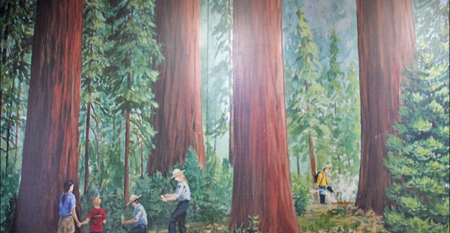Giant Sequoia mural at the Giant Forest Museum.