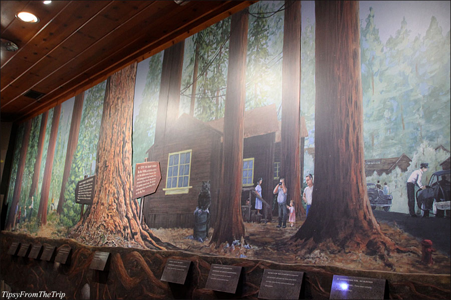 Giant Forest Museum, Sequoia National Park. CA