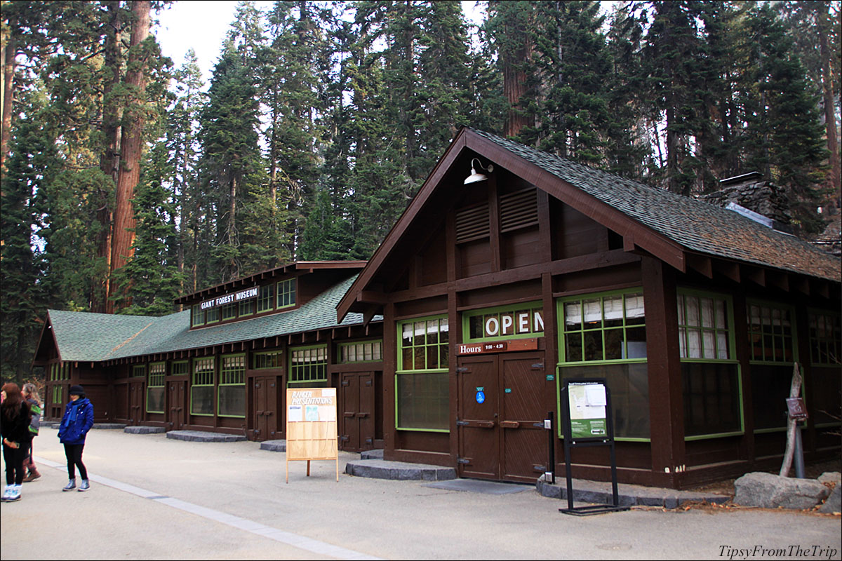 Giant Forest Museum, Sequoia National Park.
