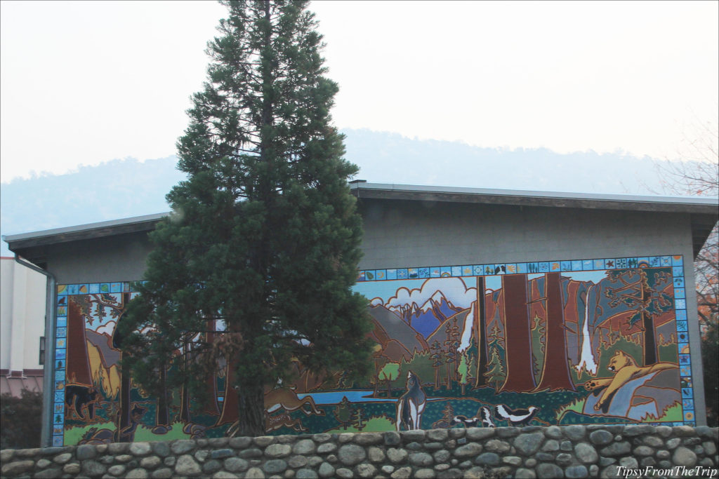 Wildlife Mural at Three Rivers Union School