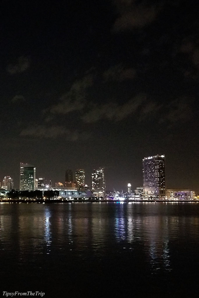 San Diego's City Lights from Coronado Island