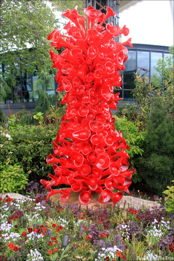 Outdoor exhibit, Chihuly Garden and Glass