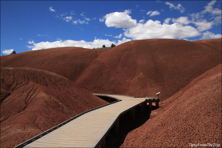 Painted Cove, Painted Hills
