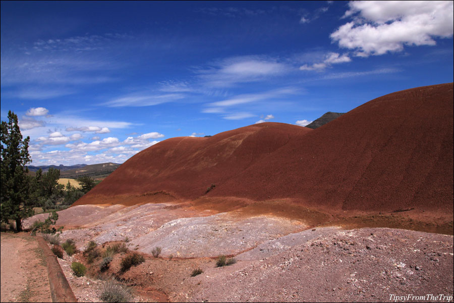 Red, Orange and Lavender. Painted Hills