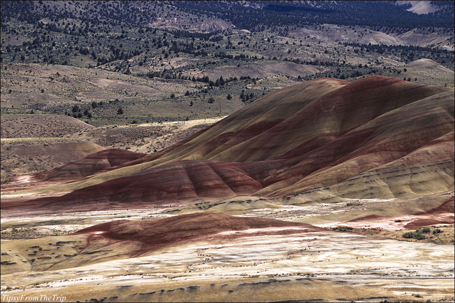  Overlook, Painted Hills OR