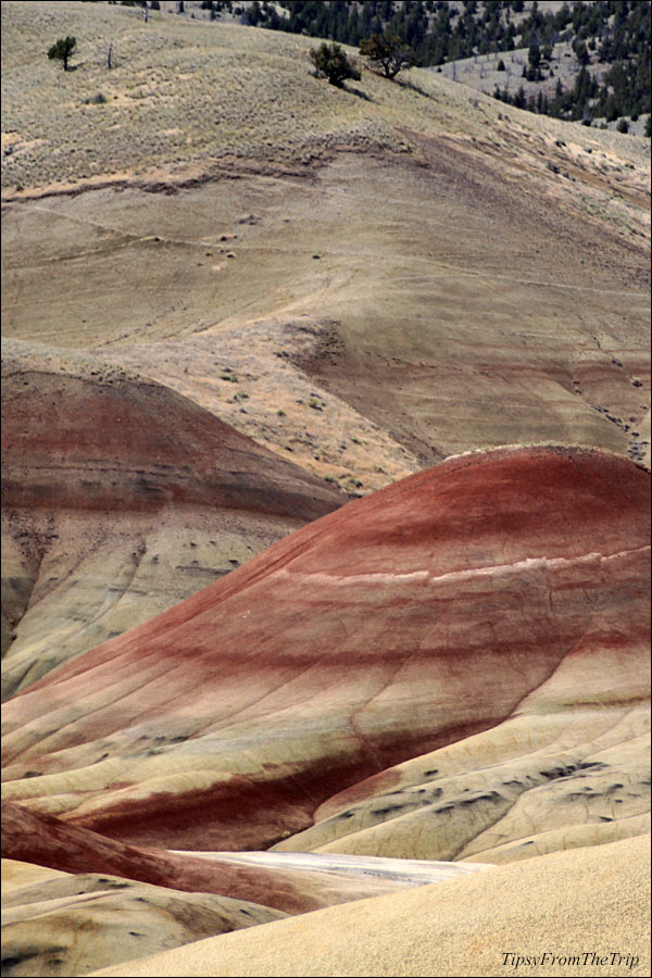 Striated Hills, OR