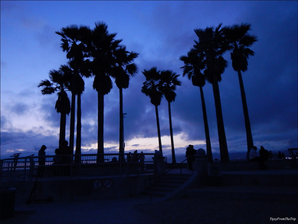 Evening light, Venice, CA