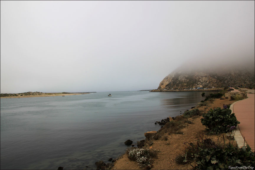 Morro Rock on a foggy morning.