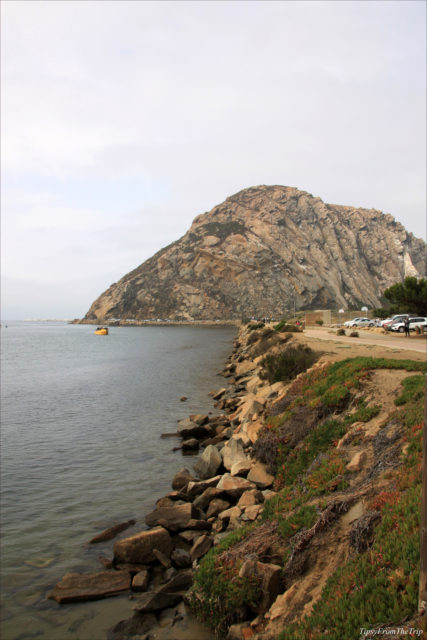 Morro Rock - Volcanic Plug