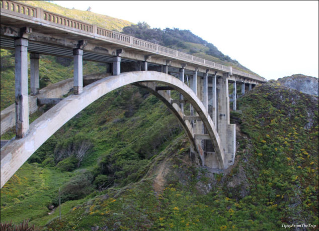 Big Sur in Summer: It's wildflowers galore | Tipsy from the TRIP