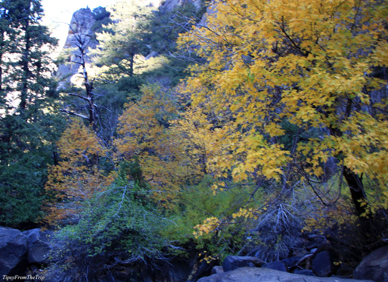 More: Fall colors in Yosemite
