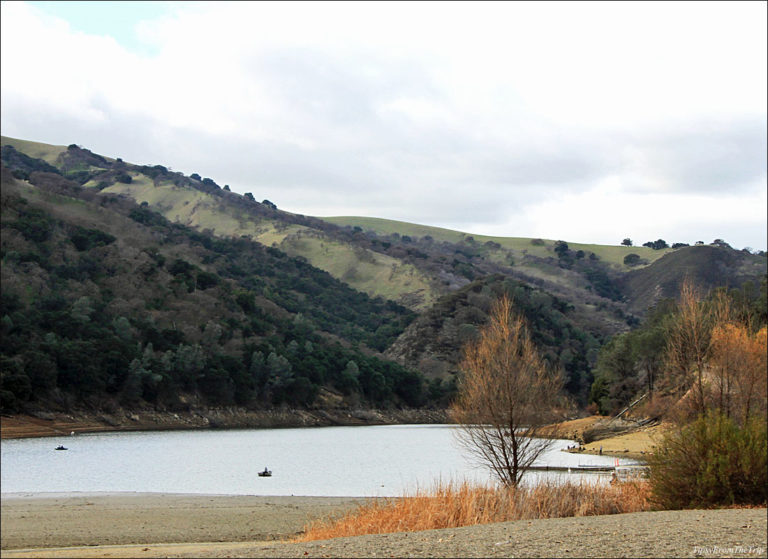 Del Valle Lake and Regional Park | Tipsy from the TRIP