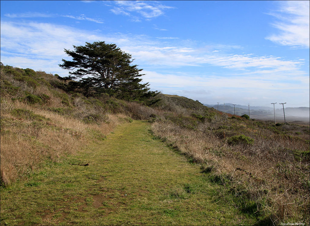 Wilbur's Watch Trail, San Mateo, California. 