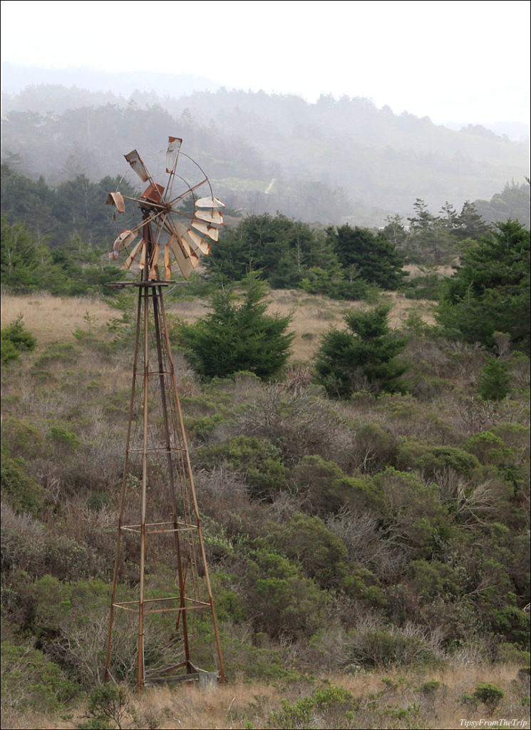 Windmill near Wilbur's Watch