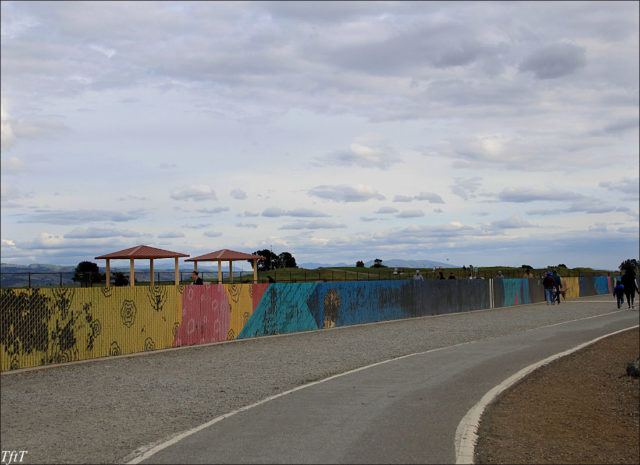 Whale Mural Near San Leandro Marina Tipsy From The Trip