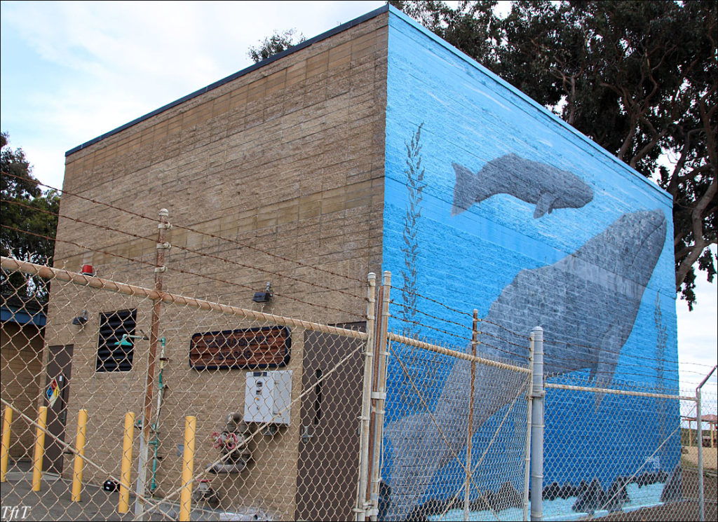 whale mural, San Leandro, CA