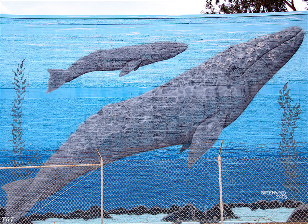 Humpback Whale mural, San Leandro