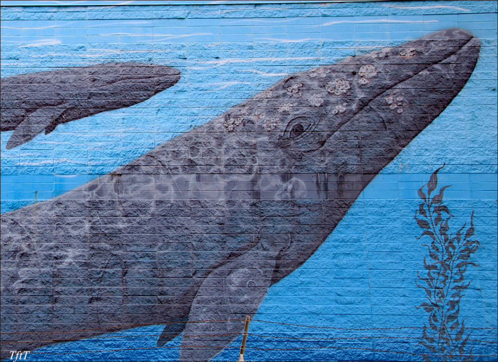 Whale Mural, San Leandro.