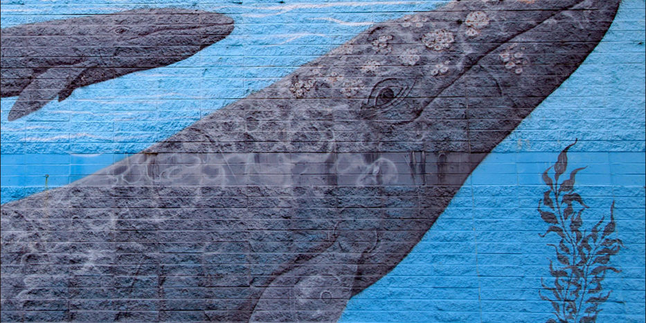 Humpback Whale mural