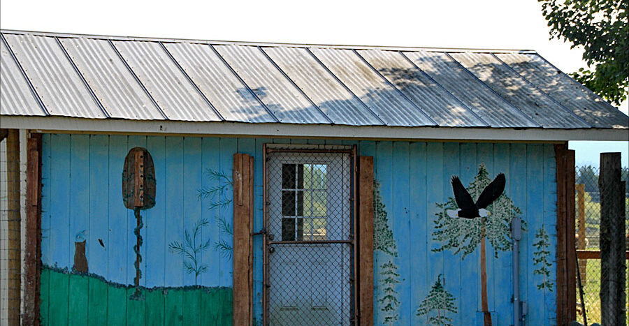 Painted Shed, Olympic Game Farm
