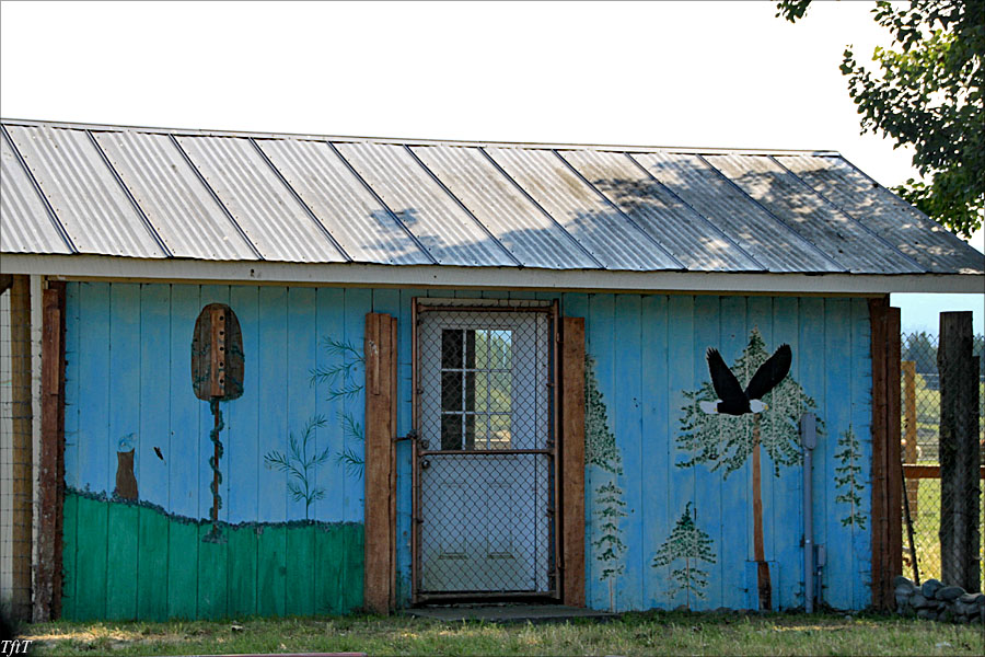 Painted Shed, Olympic Game Farm.
